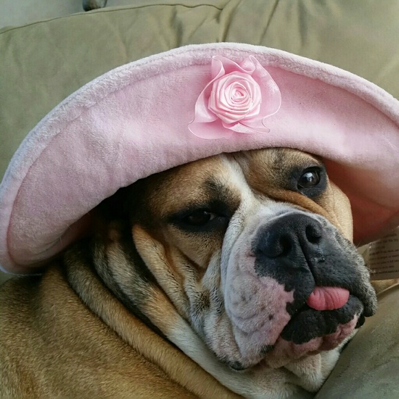 Meet your Posher, Cindy - Picture 3 of 3